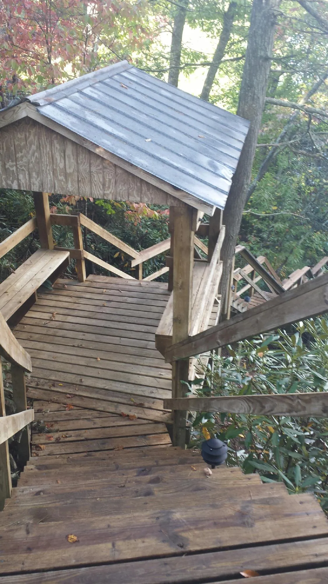 Metal roofed shelter over wooden steps on a wooded walkway in Warren
